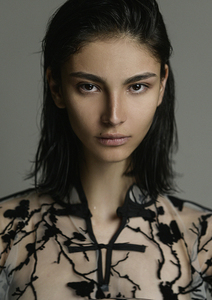 DIANA ZENTENO